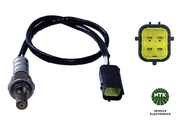 Oxygen Sensor