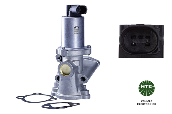 EGR Valve