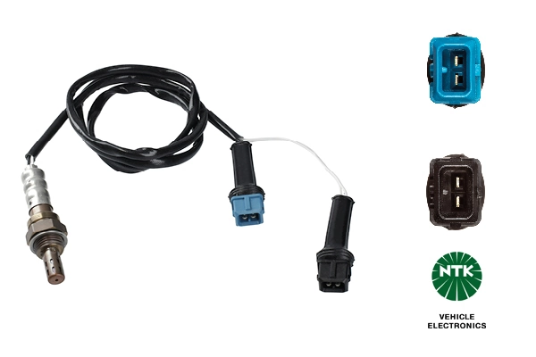 Oxygen Sensor