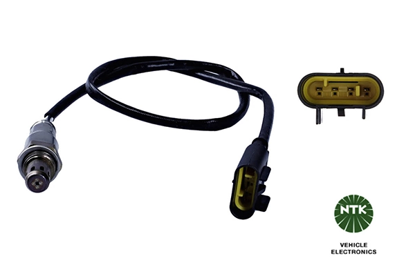 Oxygen Sensor