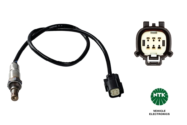 Oxygen Sensor