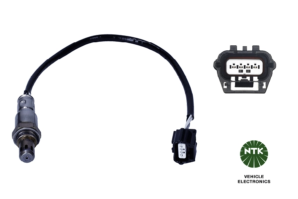 Oxygen Sensor