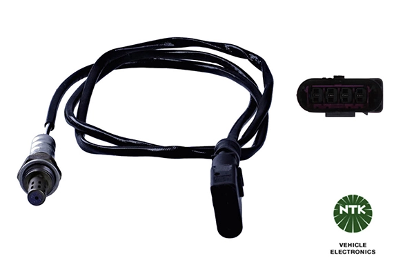 Oxygen Sensor