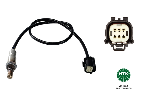 Oxygen Sensor
