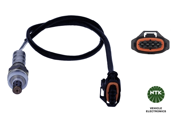Oxygen Sensor