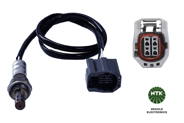 Oxygen Sensor