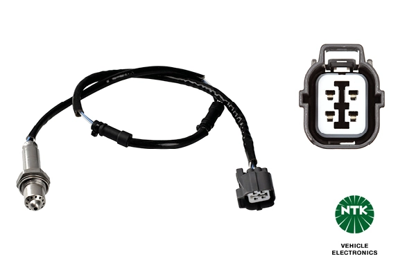 Oxygen Sensor