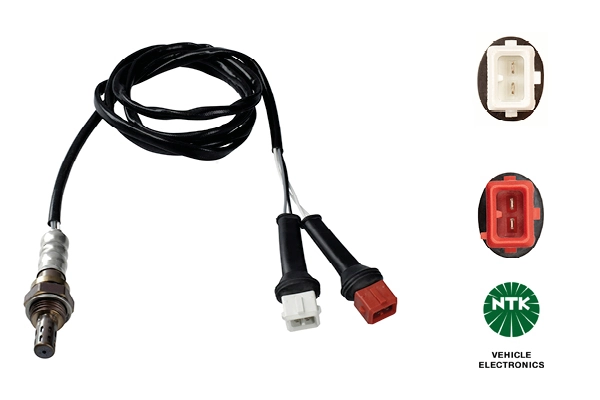 Oxygen Sensor