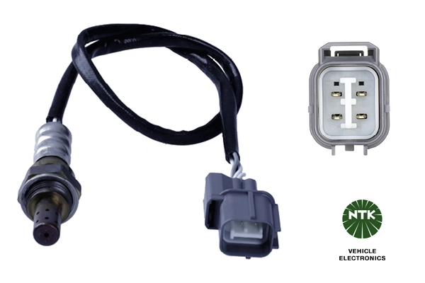 Oxygen Sensor