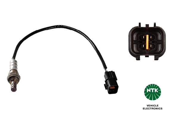 Oxygen Sensor