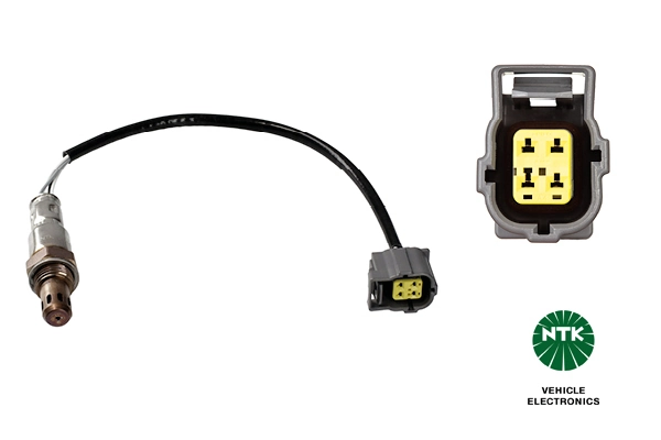 Oxygen Sensor