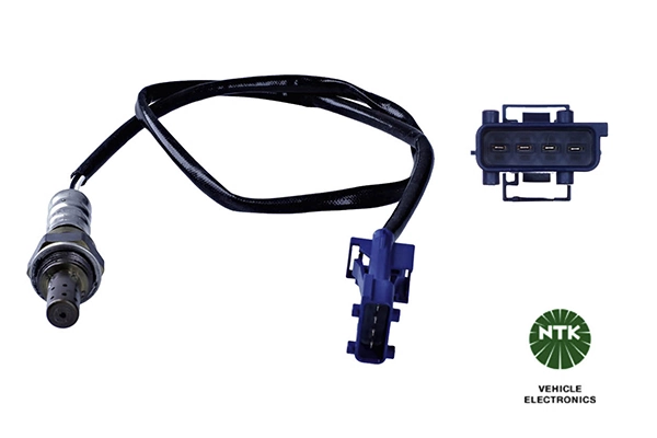 Oxygen Sensor