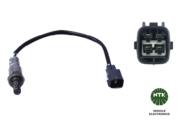 Oxygen Sensor