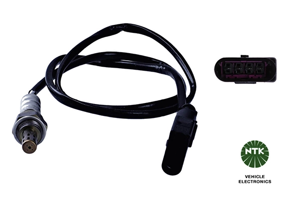 Oxygen Sensor