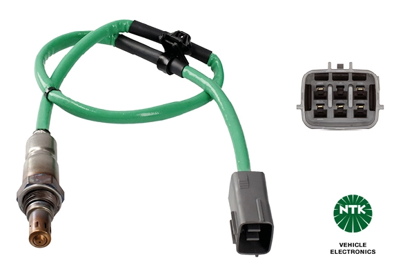 Oxygen Sensor
