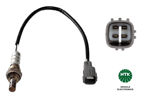 Oxygen Sensor