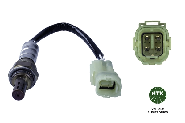 Oxygen Sensor