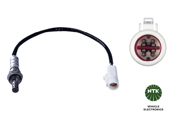 Oxygen Sensor