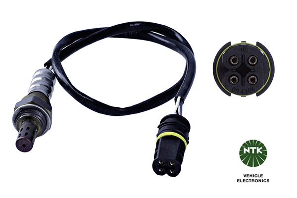 Oxygen Sensor