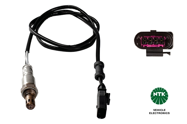 Oxygen Sensor