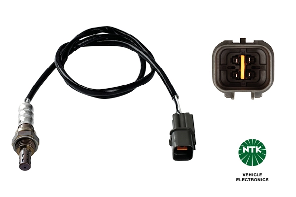Oxygen Sensor