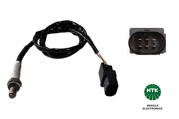 Oxygen Sensor