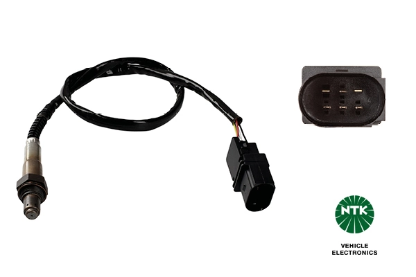 Oxygen Sensor