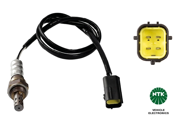 Oxygen Sensor