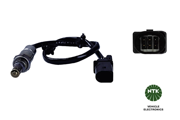 Oxygen Sensor