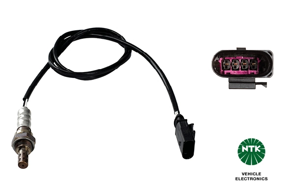 Oxygen Sensor