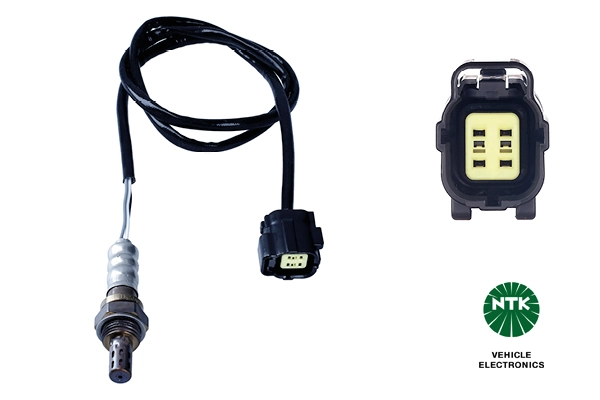 Oxygen Sensor