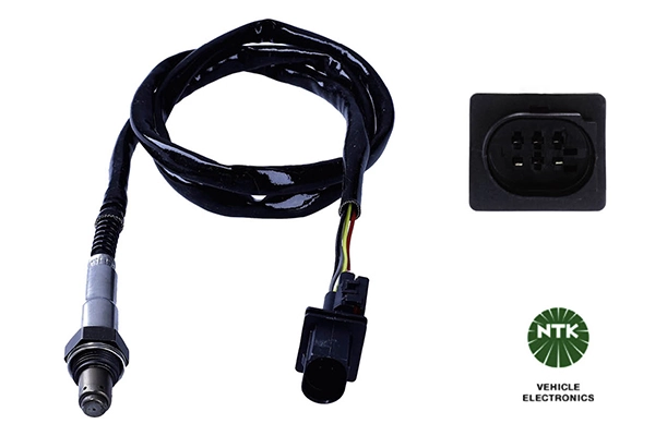Oxygen Sensor