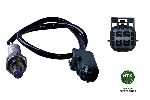 Oxygen Sensor