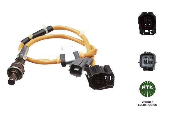 Oxygen Sensor