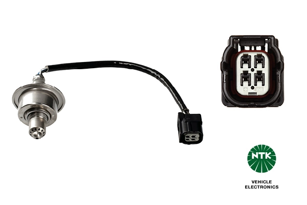 Oxygen Sensor