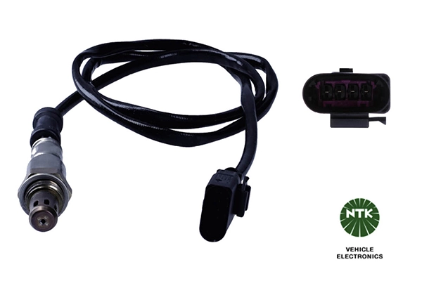 Oxygen Sensor