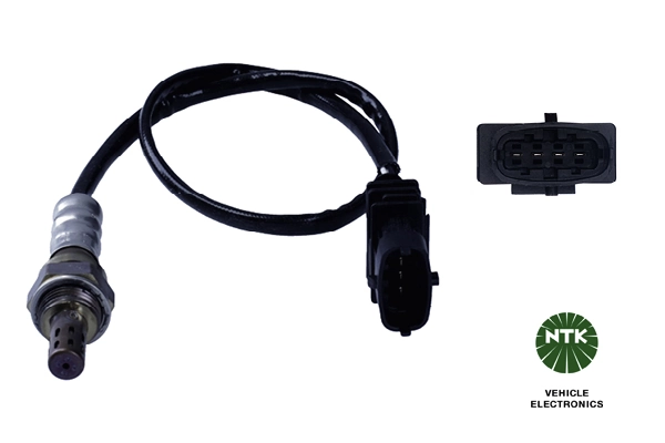 Oxygen Sensor