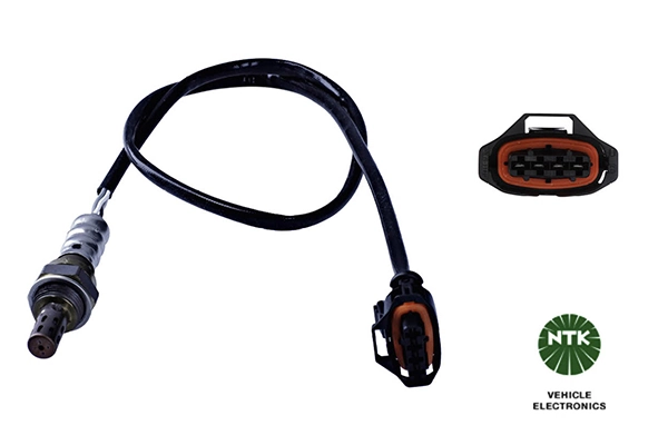 Oxygen Sensor