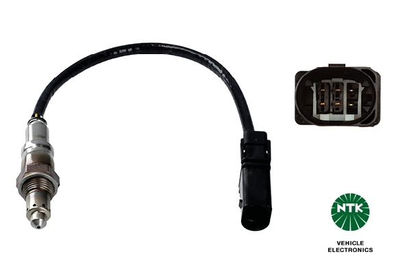 Oxygen Sensor
