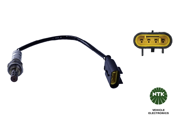 Oxygen Sensor