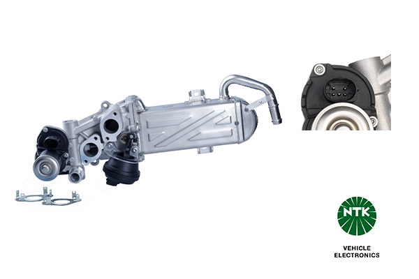 EGR Module