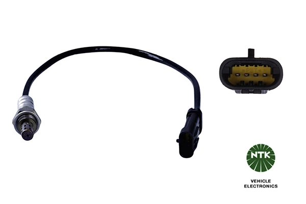 Oxygen Sensor
