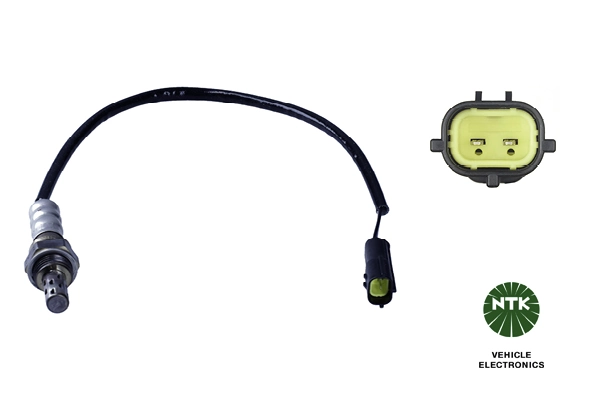 Oxygen Sensor