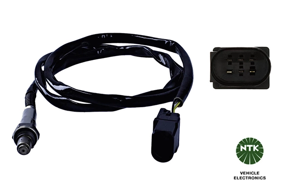 Oxygen Sensor