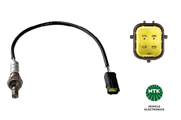 Oxygen Sensor