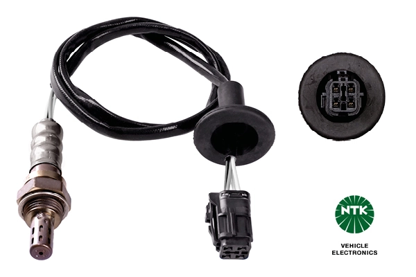 Oxygen Sensor
