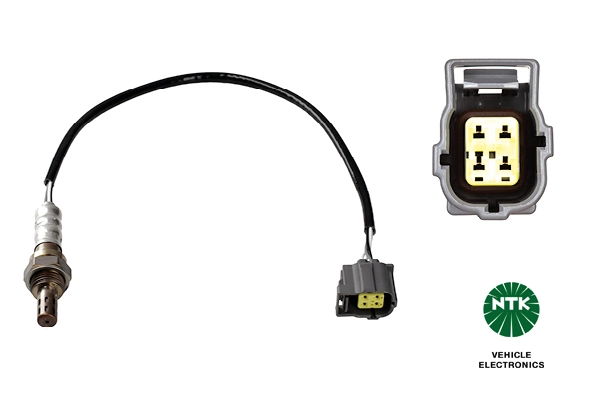 Oxygen Sensor
