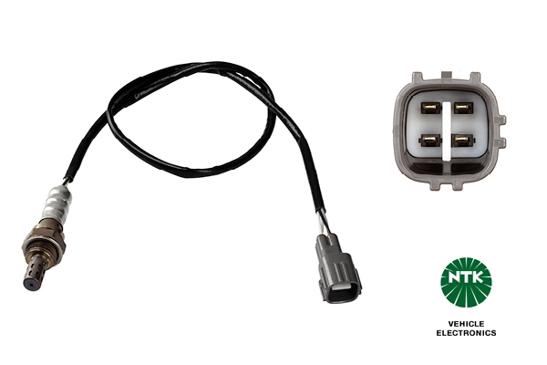 Oxygen Sensor