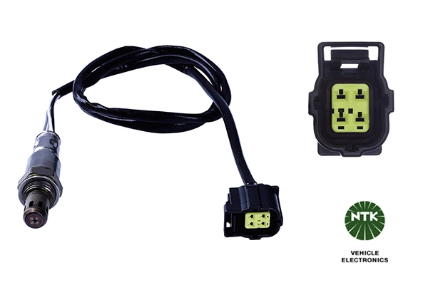 Oxygen Sensor