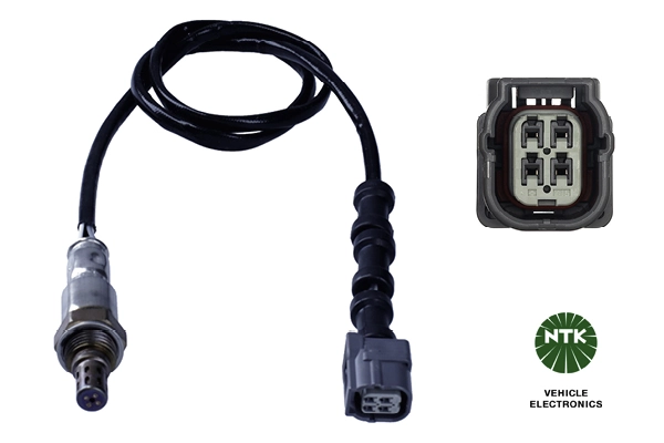 Oxygen Sensor
